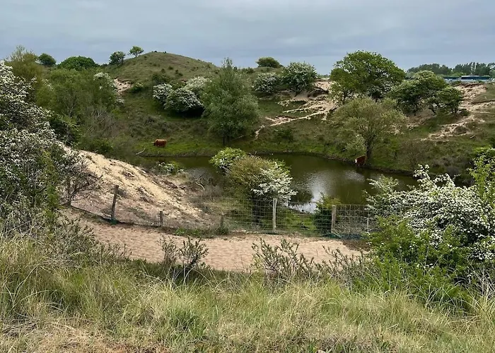 Ons Bijhuis Hébergement de vacances Wijk aan Zee